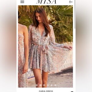 BNWT! Misa Los Angeles Caria Dress!